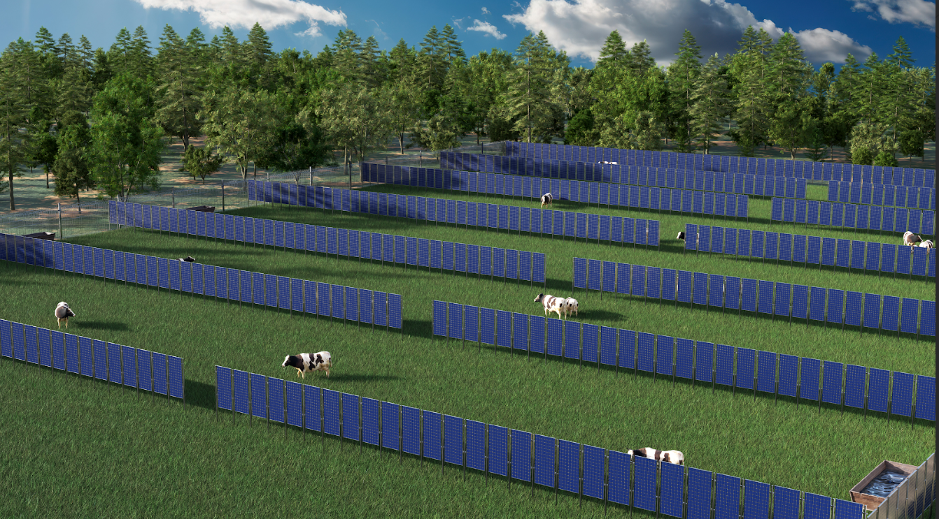 Harnessing the Power of Cow PV: Revolutionizing Agriculture and Sustainability