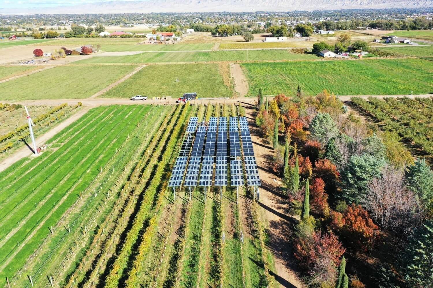 Sunstall’s Tallest Agrivoltaic Installation Yet!